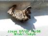 JJeye-201207291411.jpg