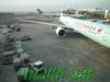 JJeye-201212201731.jpg