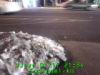 JJeye-201301172135.jpg