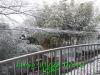 JJeye-201301281035.jpg