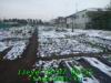 JJeye-201302070701.jpg
