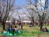 JJeye-201305041145.jpg
