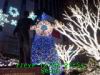JJeye-201312082155.jpg