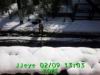 JJeye-201402091305.jpg