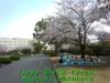JJeye-201404021245.jpg