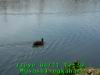 JJeye-201404111241.jpg