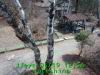JJeye-201404191301.jpg