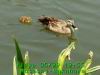 JJeye-201405291301.jpg