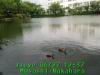 JJeye-201406271241.jpg