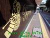 JJeye-201409160941.jpg