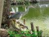 JJeye-201410101251.jpg