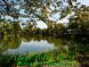 JJeye-201410161241.jpg