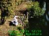 JJeye-201410241301.jpg