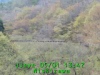 JJeye-201605011351.jpg