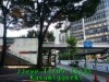 JJeye-201611051641.jpg
