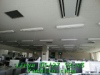 JJeye-201705282105.jpg