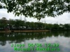 JJeye-201706061225.jpg