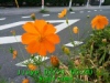 JJeye-201707210525.jpg
