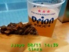 JJeye-201708111441.jpg