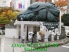 JJeye-201711150735.jpg
