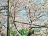 JJeye-201803251545.jpg