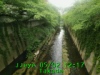 JJeye-201805021221.jpg