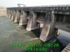 JJeye-201806090831.jpg