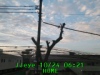 JJeye-201810240625.jpg