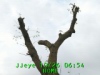 JJeye-201810260655.jpg