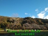 JJeye-201811230831.jpg