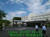 JJeye-201905071251.jpg