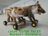 JJeye-201905081425.jpg