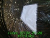 JJeye-201907022131.jpg