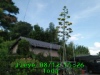 JJeye-201908121531.jpg